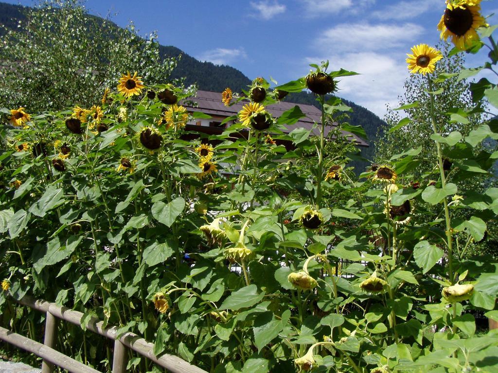 Hotel La Locanda Pinzolo Luaran gambar